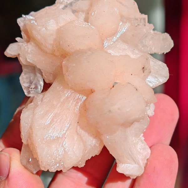 Pink stilbite cluster with apophyllites