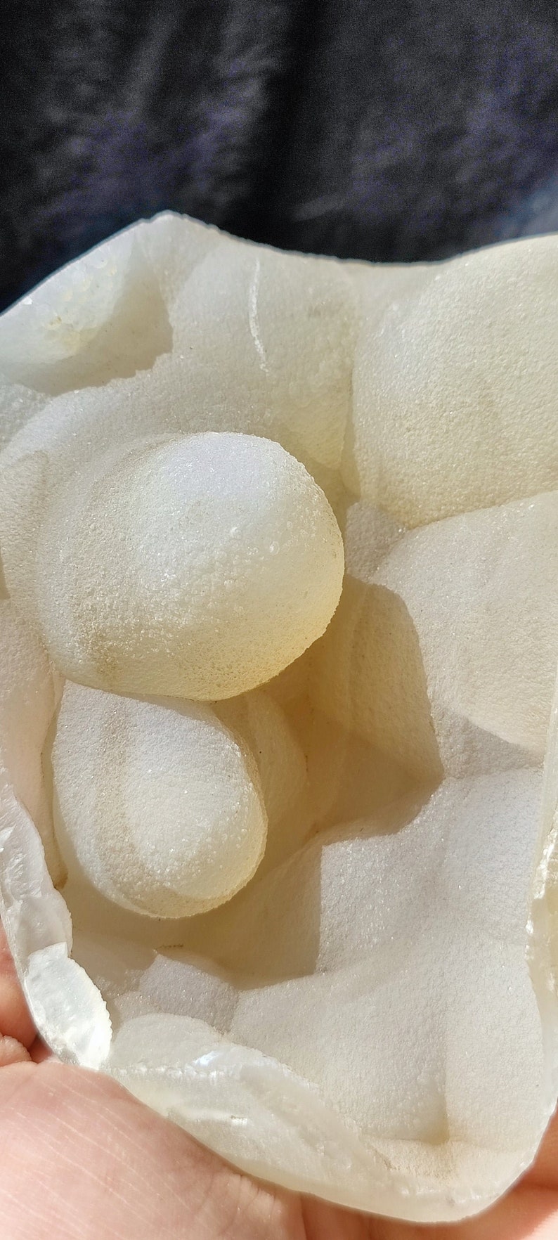 May include: A white agate geode with a smooth, textured surface. The geode is open, revealing a cluster of smaller, round agate nodules inside.