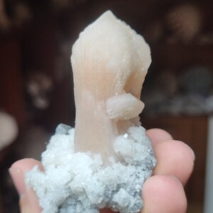 Könnte beinhalten: Ein rosa-weißer Kristallcluster mit einer spitzen Spitze, der auf einem Bett aus weißen Kristallen sitzt. Der Kristall ist eine natürliche Formation und hat eine raue Textur.