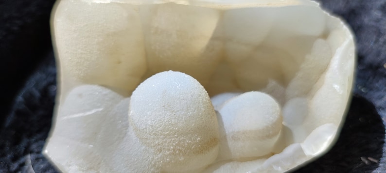 May include: A close-up of a white agate geode with a smooth, textured surface. The geode is open, revealing a cluster of white, round, crystal formations inside.
