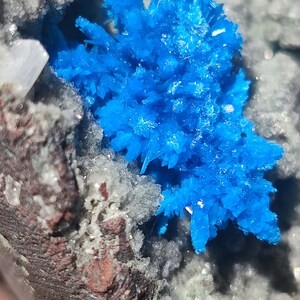 May include: A close-up of a blue crystal cluster, with a white and gray background. The crystal cluster is in the shape of a flower, with many small crystals radiating out from the center.