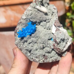 May include: A close-up of a rock with a cluster of bright blue crystals and white crystals embedded in a gray, textured matrix.