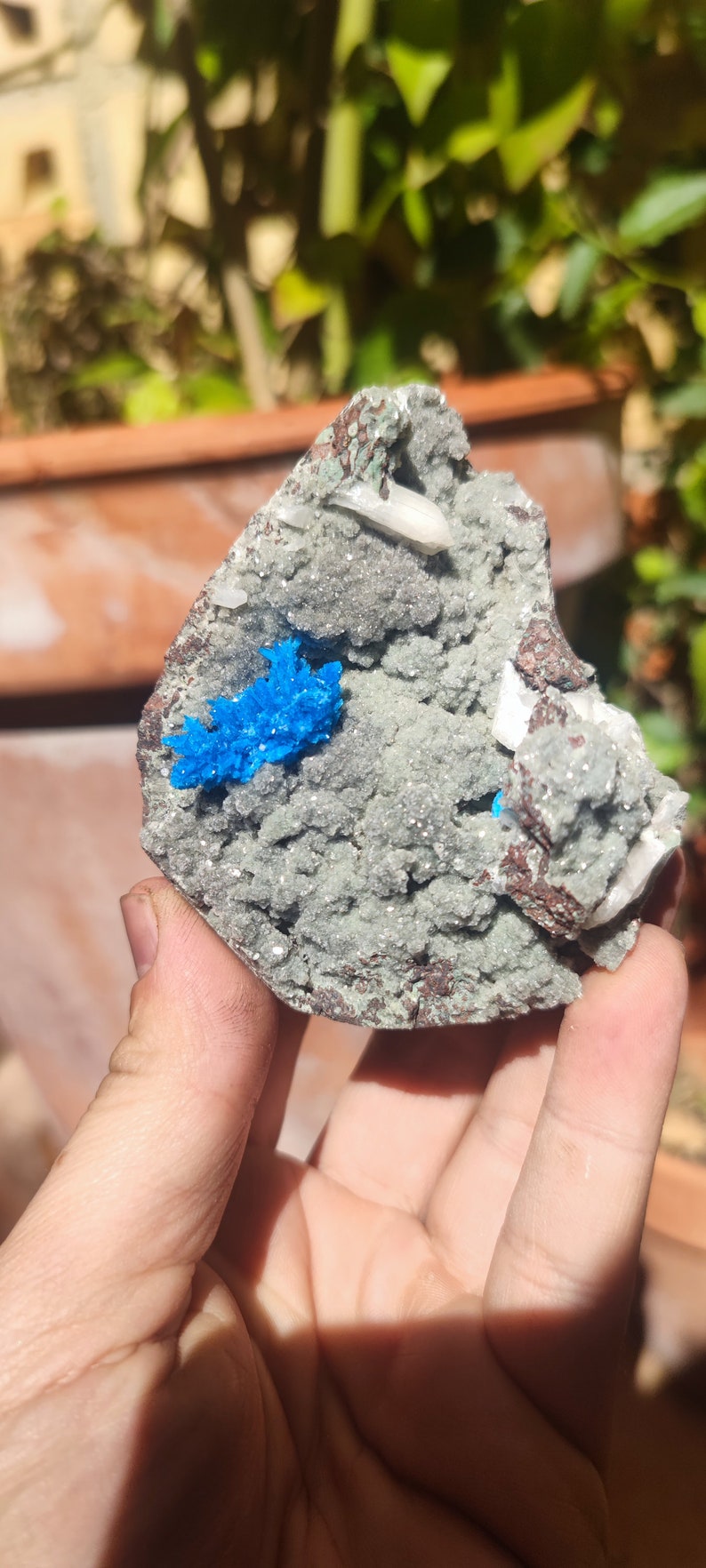 May include: A close-up of a rock with a cluster of bright blue crystals and white crystals embedded in a gray, textured matrix.