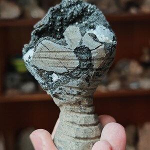 May include: A distinctive mineral specimen with a rough, textured surface. The top section is dark grey and black, while the base is a lighter grey with a ribbed design. The mineral is held in a person's hand.