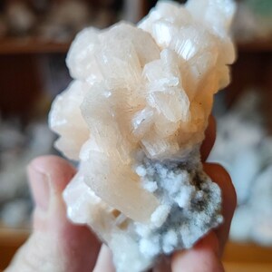 Könnte beinhalten: Ein Cluster aus pfirsichfarbenen Kristallformationen mit einer kristallinen Struktur. Die Kristalle sind zusammengeballt, mit einer Basis aus weißen und grauen Mineralien. Die Mineralprobe wird in einer Hand gehalten.