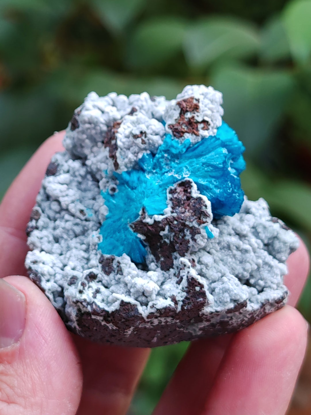 Cavinate Cavansite on Matrix - Etsy