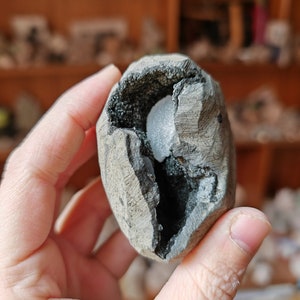 May include: A grey geode with a black interior and a white crystal inside. The geode is about the size of a small grapefruit.