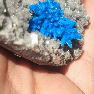May include: A close-up of a blue crystal cluster on a gray rock. The crystal is a vibrant blue and has a starburst shape. The rock is rough and textured.