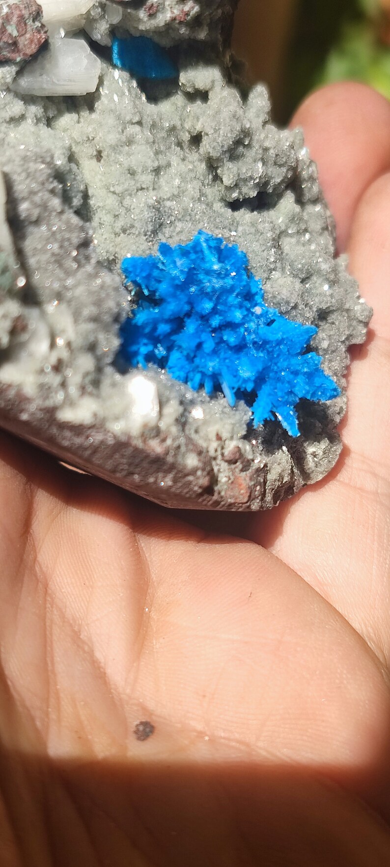 May include: A close-up of a blue crystal cluster on a gray rock. The crystal is a vibrant blue and has a starburst shape. The rock is rough and textured.