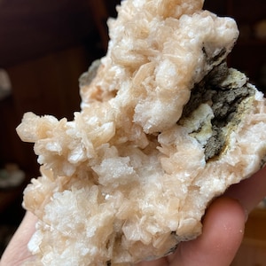 Könnte beinhalten: Ein Cluster aus hellbraunen und weißen Kristallen auf einem dunkelgrauen Gestein. Die Kristalle sind spitz und haben eine raue Textur.