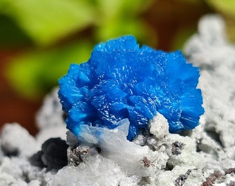 Cavansite on a large crystal matrix