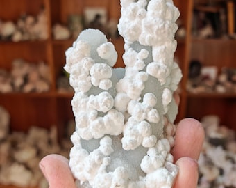 May include: A light blue mineral specimen with white, cloud-like formations. The mineral is held in a hand, showcasing its unique texture and color. The background is a wooden cabinet with other mineral specimens.
