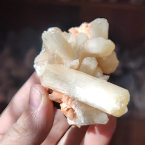 Könnte beinhalten: Ein Cluster aus durchscheinenden, hellorangen und weißen Selenitkristallen. Die Kristalle sind in einem zufälligen Muster angeordnet und haben eine glatte, polierte Oberfläche.