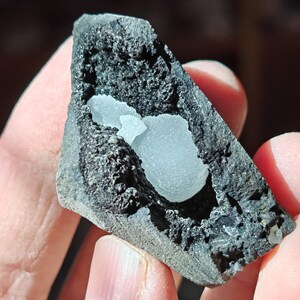 May include: A small, dark grey rock with a cavity containing a white, translucent crystal.
