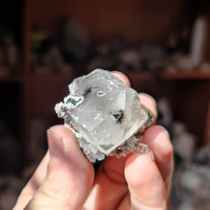 Könnte beinhalten: Ein klarer, facettierter Quarzkristall mit dunklen Einschlüssen und einem kleinen grünen Mineralwachstum an der Basis. Der Kristall wird in einer Hand gehalten, mit einem verschwommenen Hintergrund anderer Kristalle.
