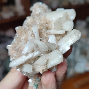 Könnte beinhalten: Ein Cluster aus weißen und braunen Kristallen mit einer rauen, natürlichen Textur. Die Kristalle sind in einem zufälligen Muster angeordnet und haben eine glänzende, irisierende Oberfläche.