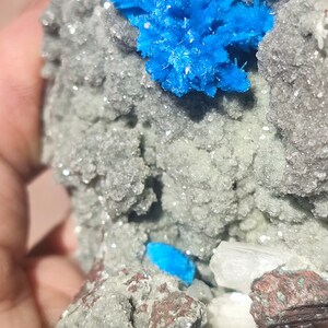 May include: A cluster of blue crystals on a gray and white rock. The crystals are sharp and pointed, and they are surrounded by smaller, white crystals.