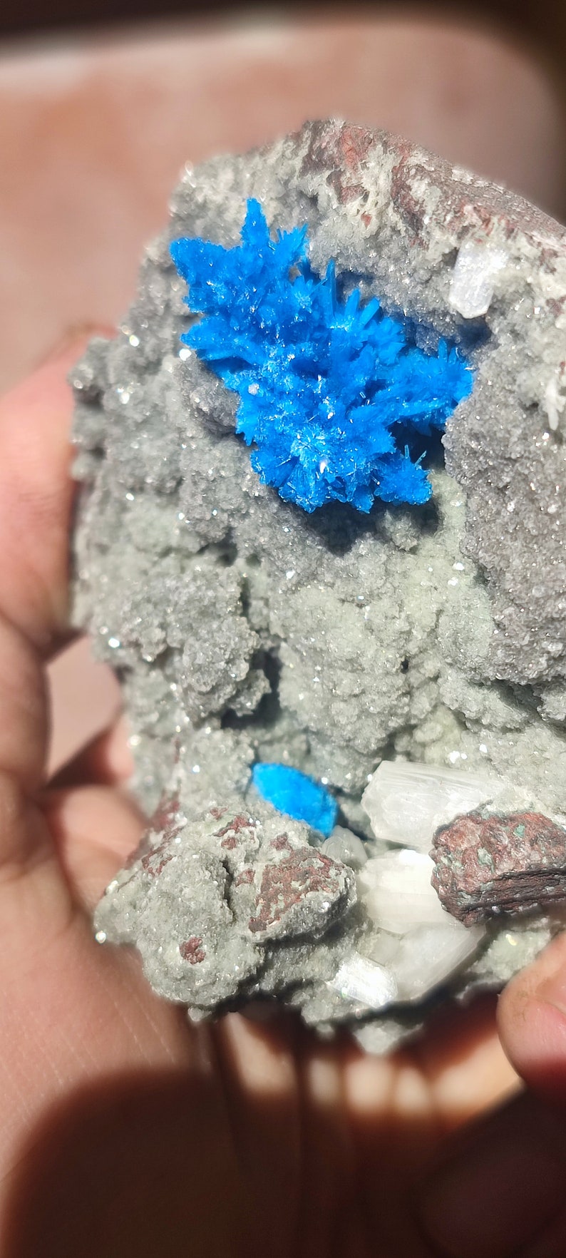 May include: A cluster of blue crystals on a gray and white rock. The crystals are sharp and pointed, and they are surrounded by smaller, white crystals.