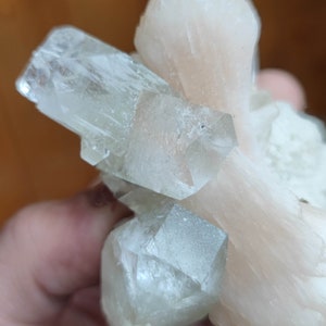 Könnte beinhalten: Ein Cluster aus klaren, hellgrünen und rosafarbenen Kristallen. Die Kristalle sind scharf und haben ein glasartiges Aussehen.