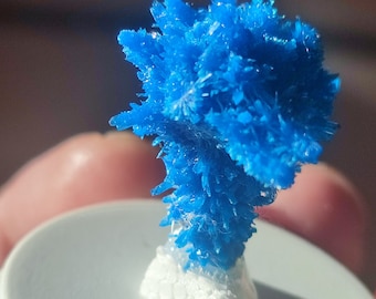 Pentagonite