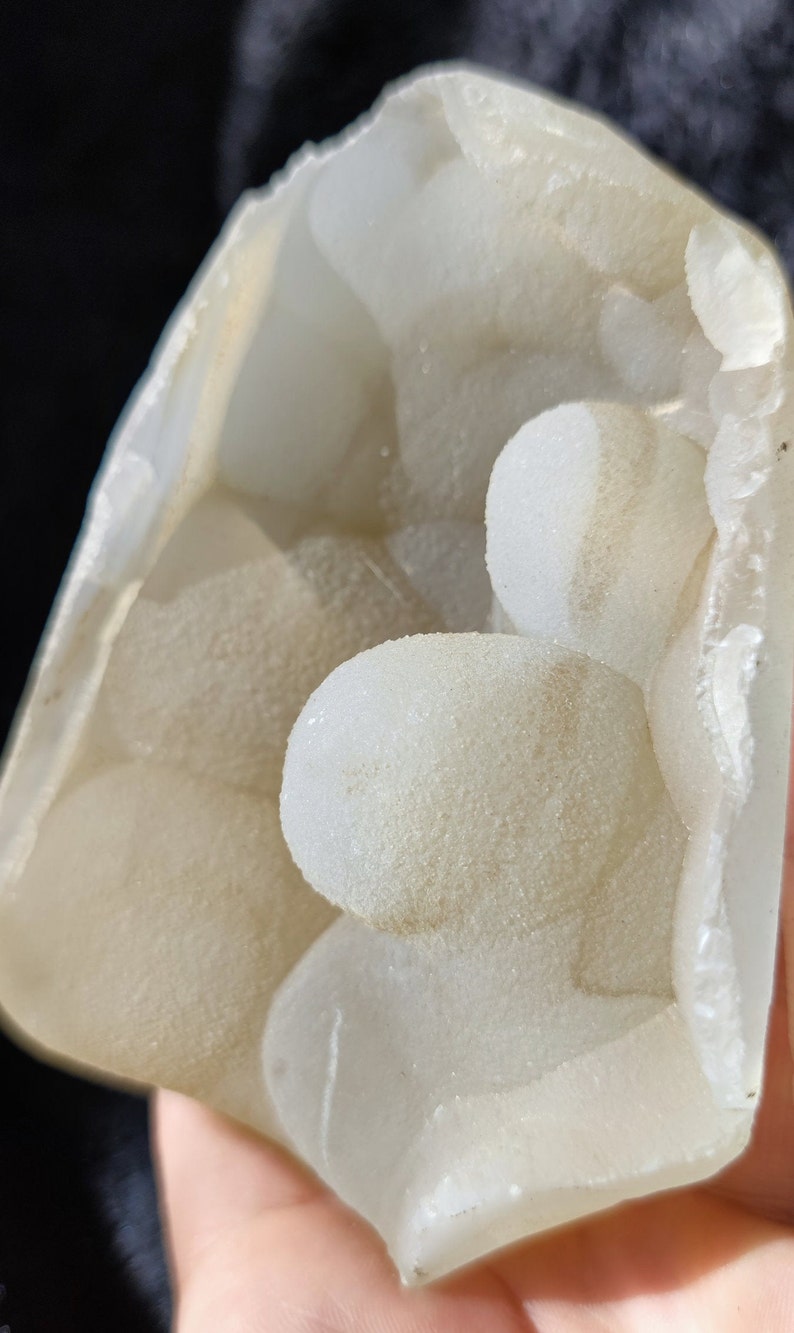 May include: A white geode with a cluster of small, round, white crystals inside. The geode is open and the crystals are visible.