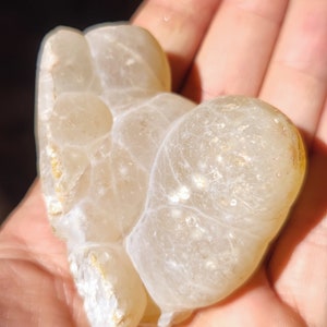 Może przedstawiać: Biały agat o unikalnym, organicznym kształcie i gładkiej, wypolerowanej powierzchni. Kamień jest prześwitujący i ma skomplikowane wzory w kolorze białym i szarym.