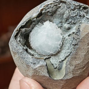 May include: A geode with a white crystal cluster inside. The geode is grey and has a rough texture.