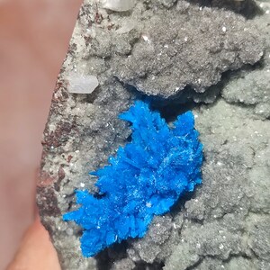 May include: A close-up of a blue mineral specimen with a crystal formation. The mineral is embedded in a gray rock with white crystals.