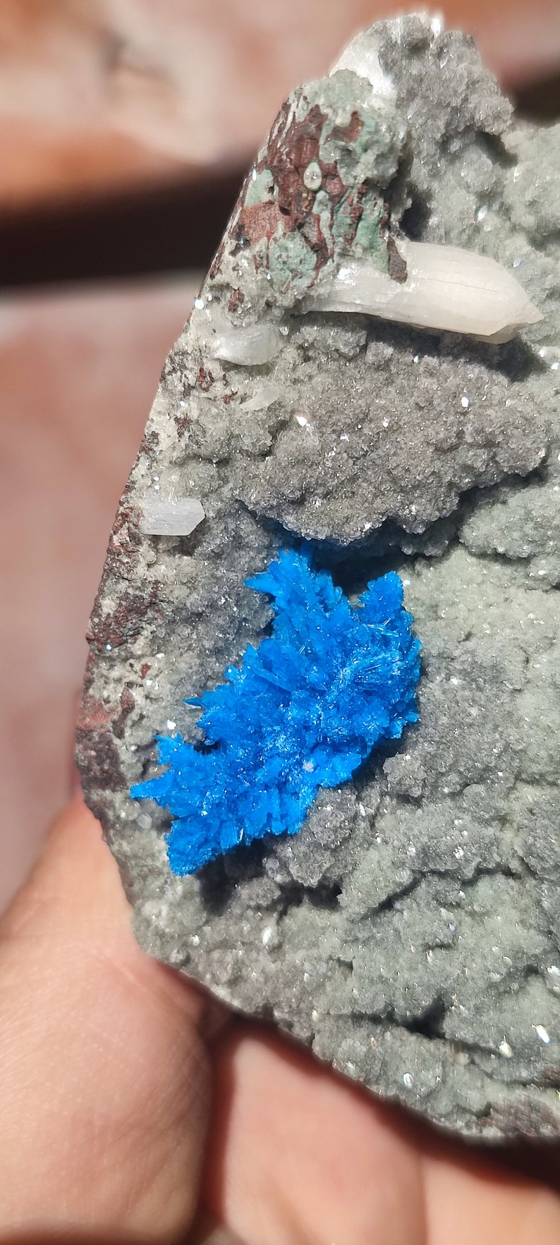 May include: A close-up of a blue mineral specimen with a crystal formation. The mineral is embedded in a gray rock with white crystals.
