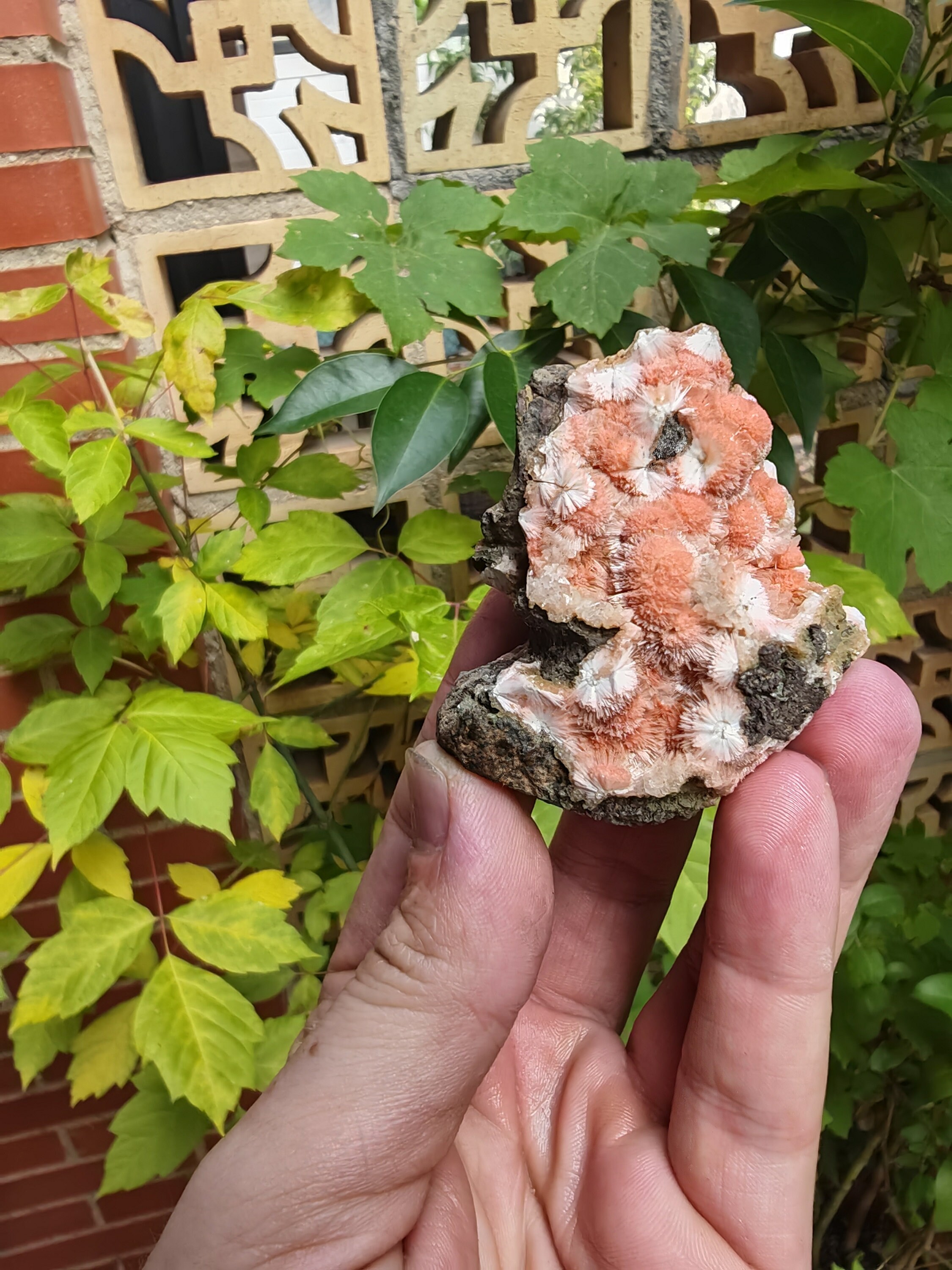 red mesolite