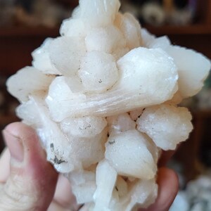 Könnte beinhalten: Ein Cluster aus weißen Selenitkristallen, eine Art Gips, mit einer rauen, strukturierten Oberfläche. Die Kristalle sind in einem zufälligen, organischen Muster angeordnet.