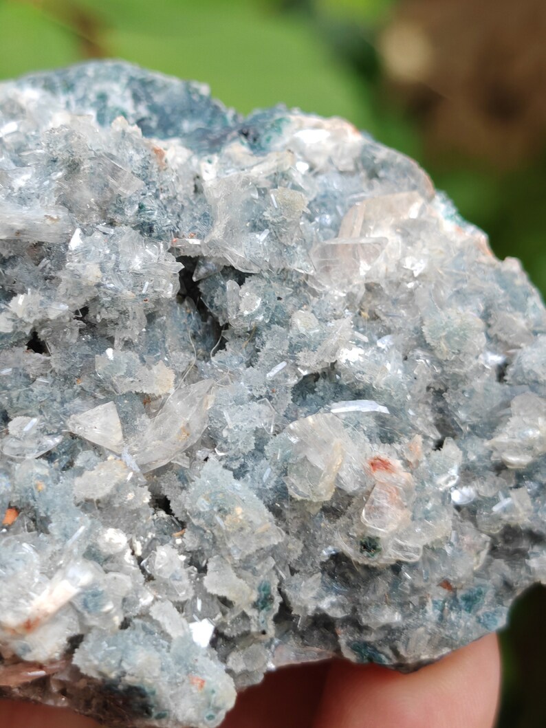 May include: A cluster of clear, glassy crystals embedded in a dark green, rocky matrix. The crystals have a sharp, angular shape and are arranged in a random pattern.