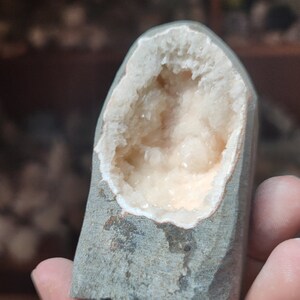 Könnte beinhalten: Ein Geode mit grauer Außenseite und einem weißen, kristallverkleideten Inneren. Der Geode wird in einer Hand gehalten.