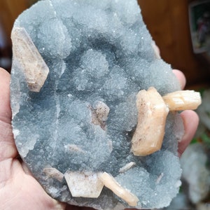 Könnte beinhalten: Ein Cluster aus hellorangen Kristallen, eingebettet in einen grauen, durchscheinenden und strukturierten Stein. Der Stein hat eine raue, unebene Oberfläche.