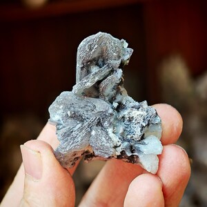 Grijze stilbietcluster