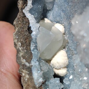 May include: Detailed view of a mineral formation. The image shows a cluster of pale blue crystals, with a crystalline structure, set within a dark brown rock matrix. Small, white, spherical shapes are also present, creating a textured appearance.