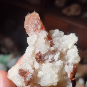 Könnte beinhalten: Ein Cluster aus weißen Kristallen mit eingebetteten rotbraunen Kristallen. Die Kristalle sind rau und haben ein natürliches, unpoliertes Aussehen.
