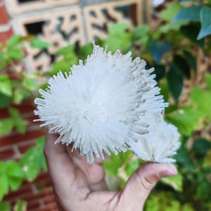 scolecite cluster