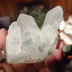 Phantom Himalayan Quartz Cluster with Chlorite