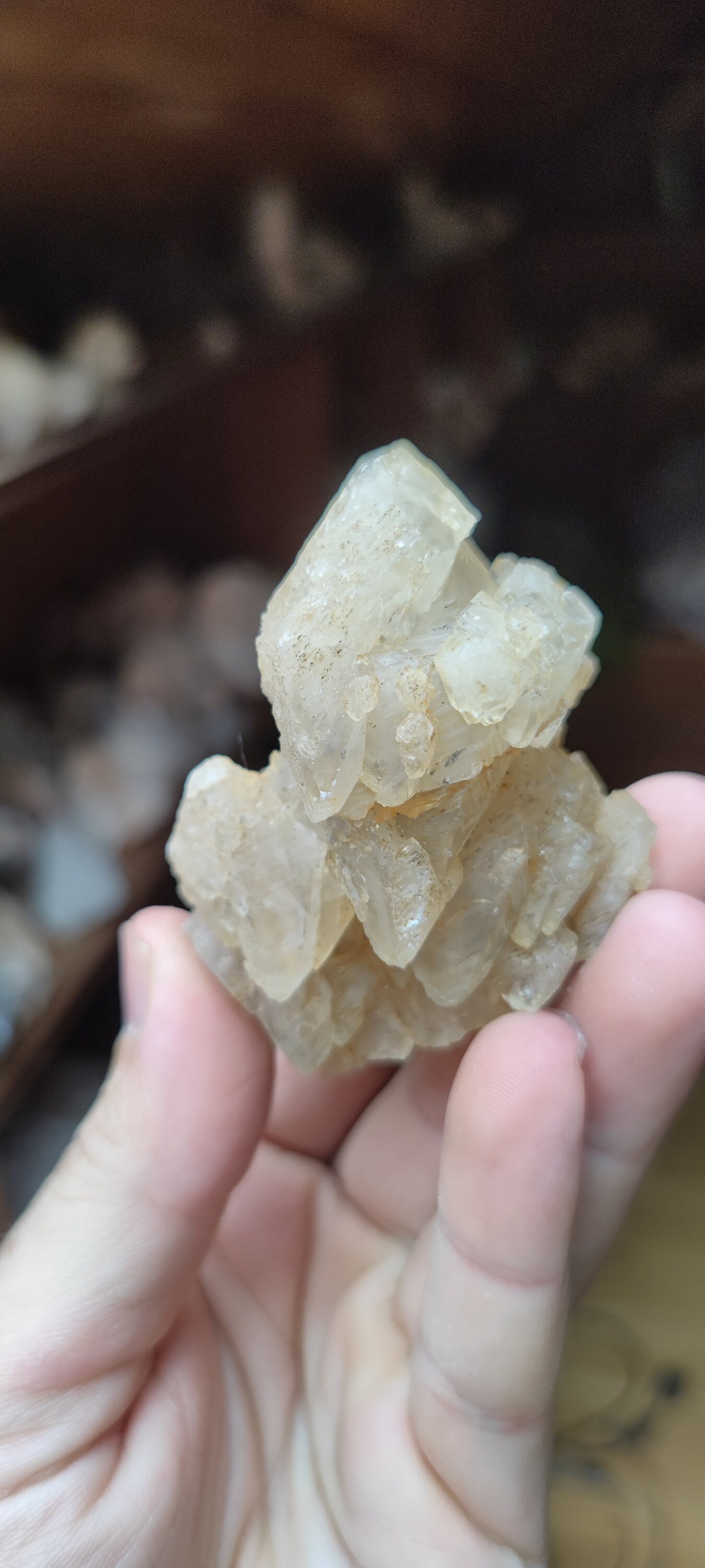 稀な方解石の形成 - Etsy 日本