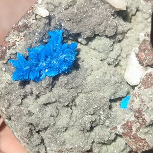 May include: A close-up of a rock formation with a cluster of bright blue crystals. The crystals are surrounded by a gray, textured surface with white and brown accents.