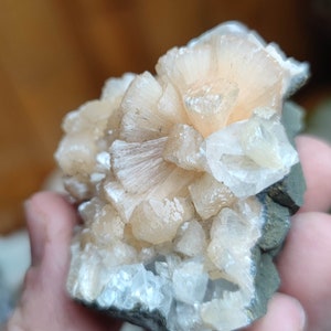 Könnte beinhalten: Ein Cluster aus zarten, weißen und pfirsichfarbenen Kristallen auf einem dunkelgrauen Stein. Die Kristalle haben eine fächerartige Form und sind in einem Cluster angeordnet.