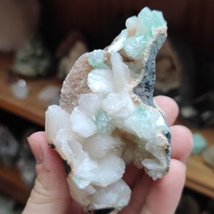 Könnte beinhalten: Ein Cluster aus weißen und grünen Kristallen mit einer rauen, dunkelgrauen Außenseite. Die Kristalle sind in einem Cluster angeordnet, wobei einige der Kristalle nach oben zeigen. Die Kristalle sind durchscheinend und haben einen leichten Glanz.