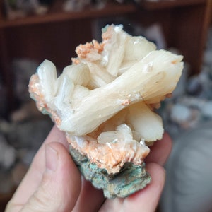 Könnte beinhalten: Ein Cluster aus weißen und orangefarbenen Kristallen mit einer grünen Basis. Die Kristalle sind fächerförmig angeordnet und haben eine raue Textur.