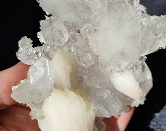 Può includere: Un gruppo di cristalli di quarzo trasparenti con un cristallo di selenite bianco a forma di ventaglio alla base.