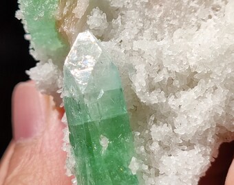 Green apophyllite crystals on matrix