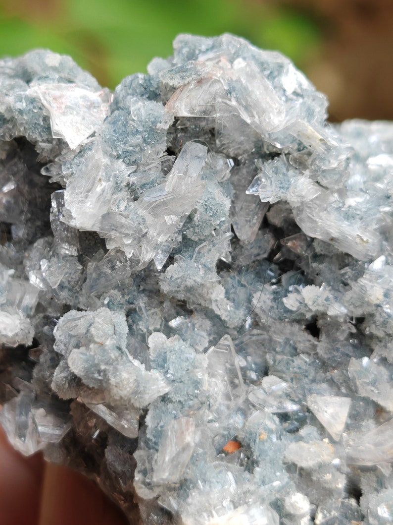 May include: A cluster of clear, glassy crystals with a blue-green tint. The crystals are arranged in a random, organic pattern, creating a visually interesting and unique piece.