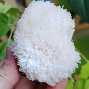 Pink scolecite on matrix
