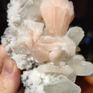 Könnte beinhalten: Ein Cluster aus rosa und weißen Kristallen mit einer rauen, strukturierten Oberfläche. Die Kristalle sind in einer zarten, blumenartigen Formation angeordnet.