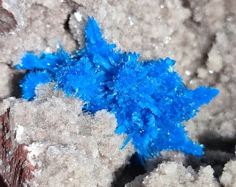 Pentagonite on matrix, large size